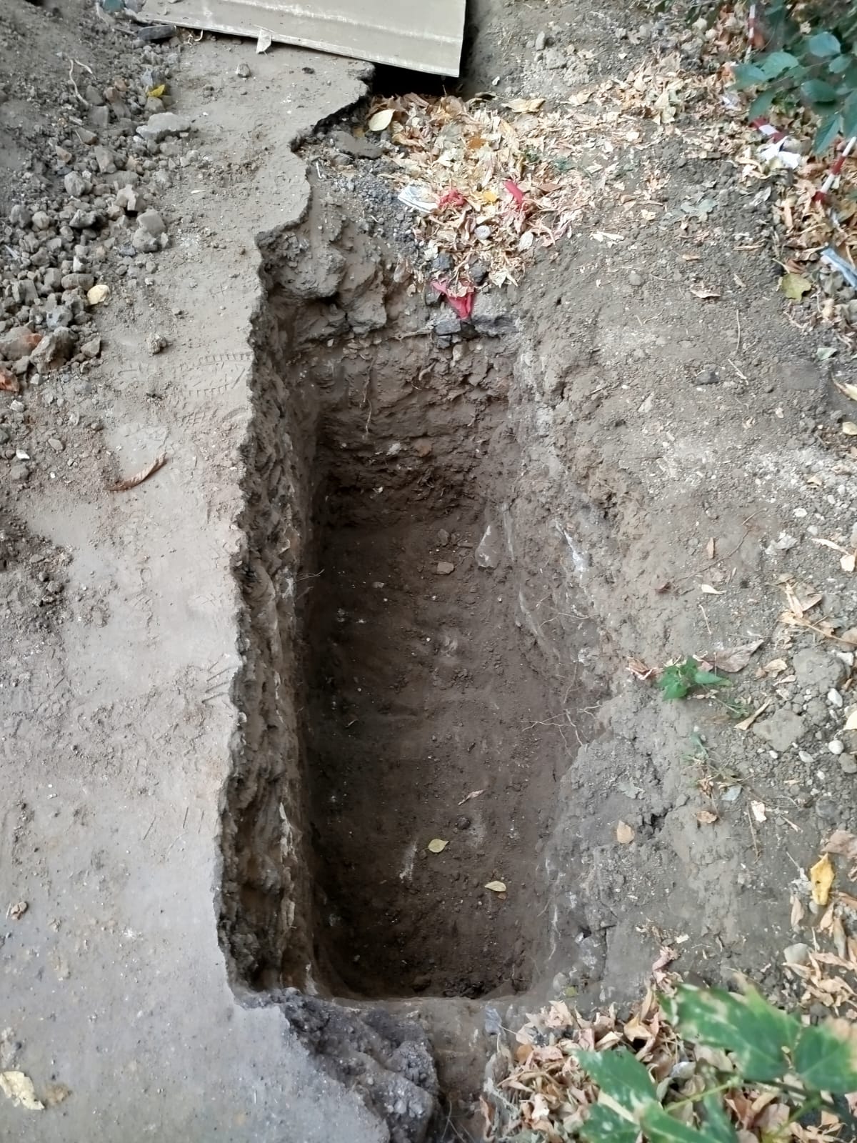 WhatsApp-Image-2024-10-02-at-18.51