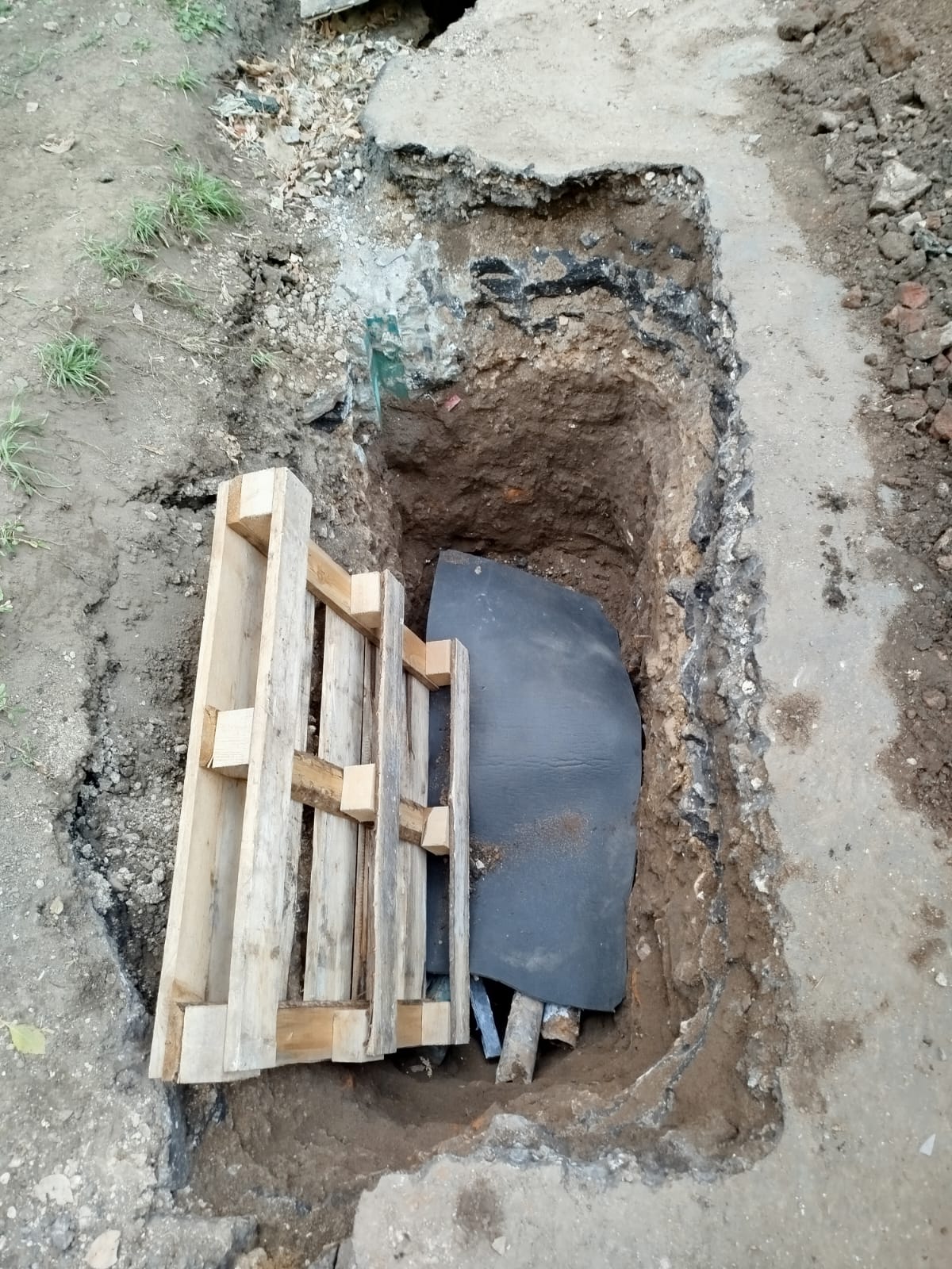 WhatsApp-Image-2024-10-02-at-18.51