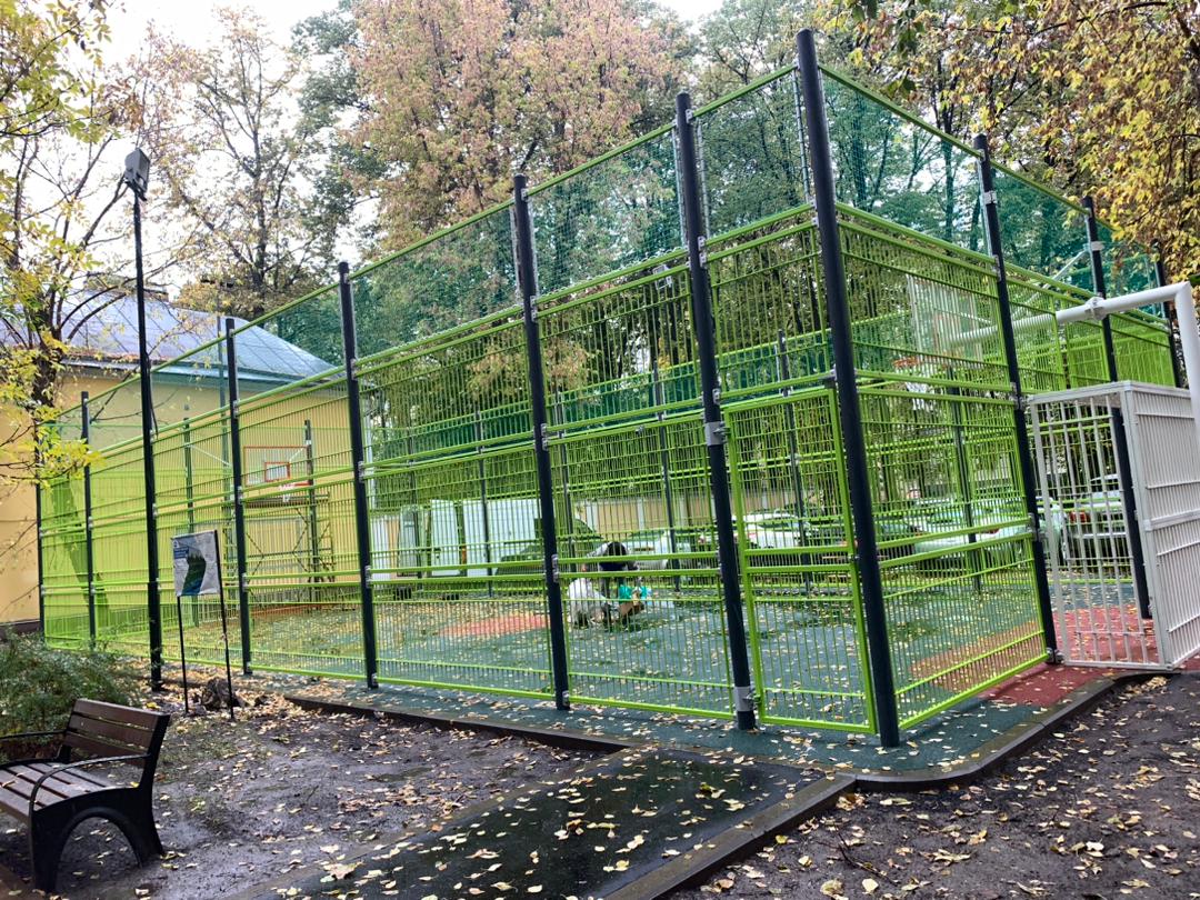 WhatsApp-Image-2024-10-14-at-17.50