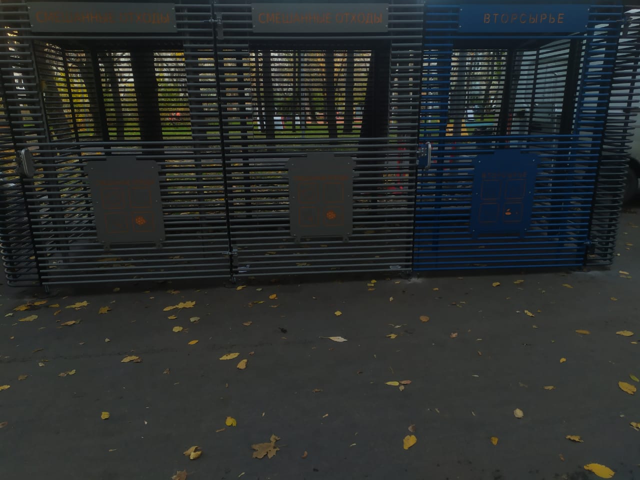 WhatsApp-Image-2024-11-02-at-17.30