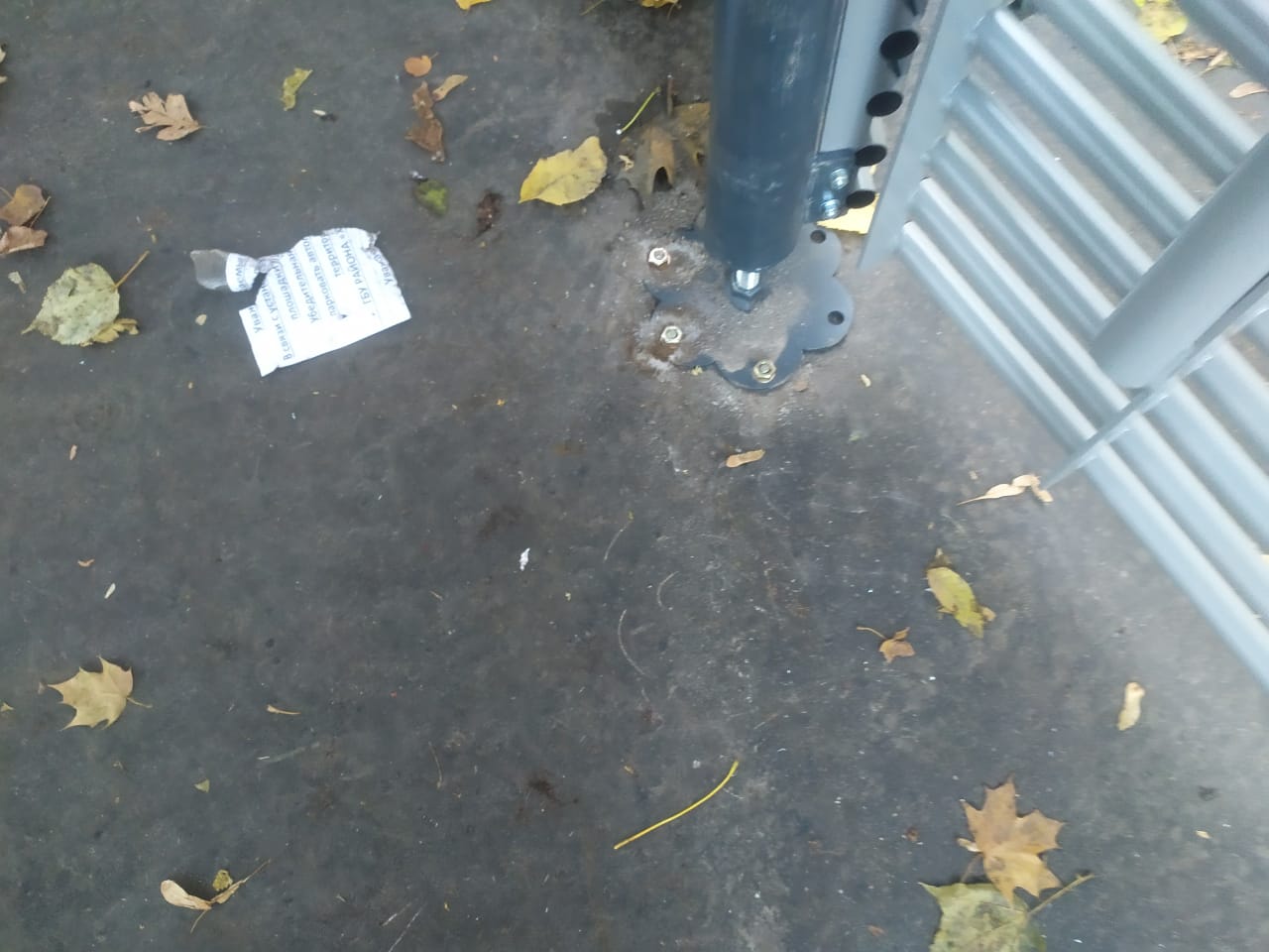 WhatsApp-Image-2024-11-02-at-17.30