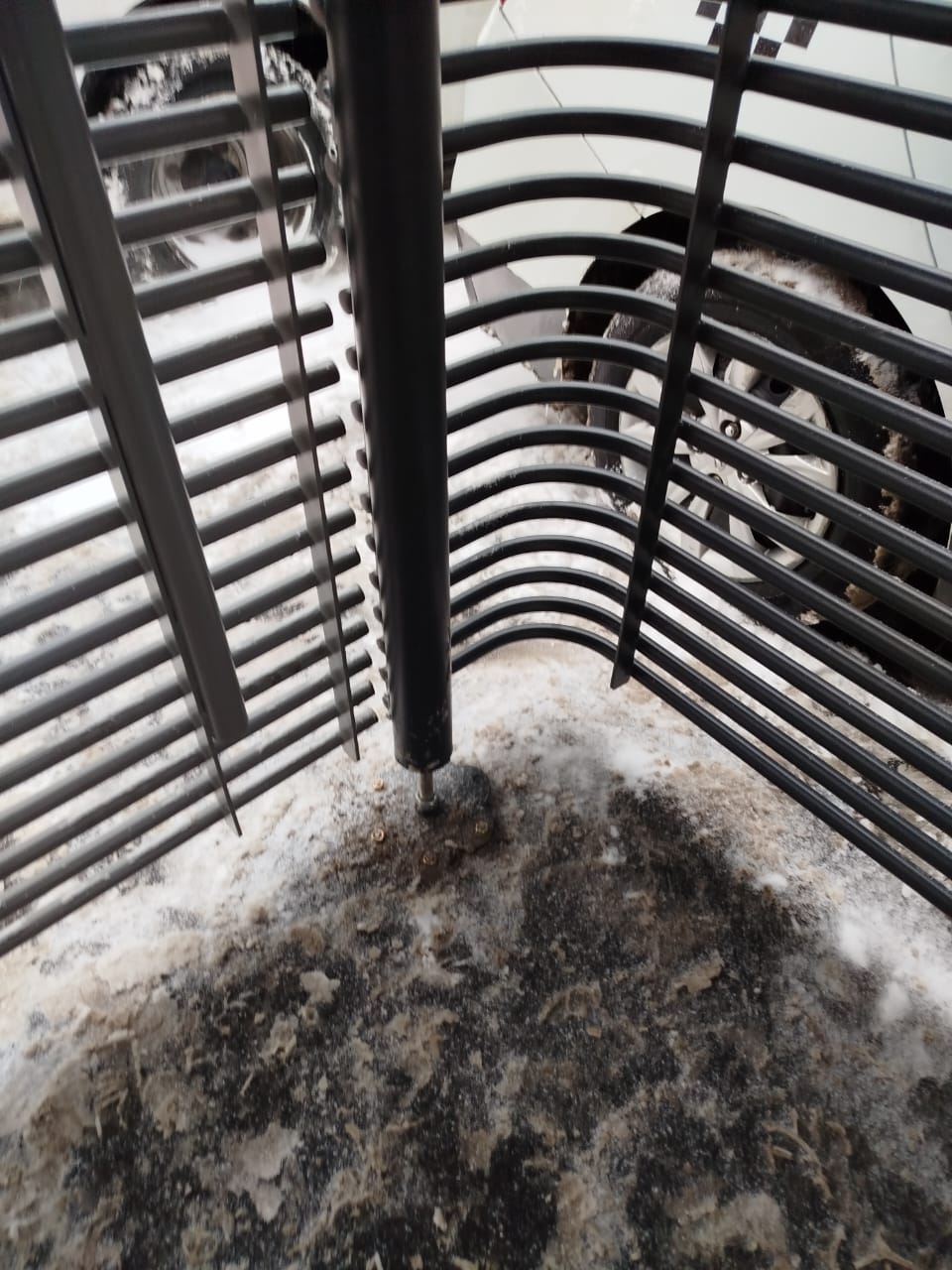 WhatsApp-Image-2024-12-15-at-19.10