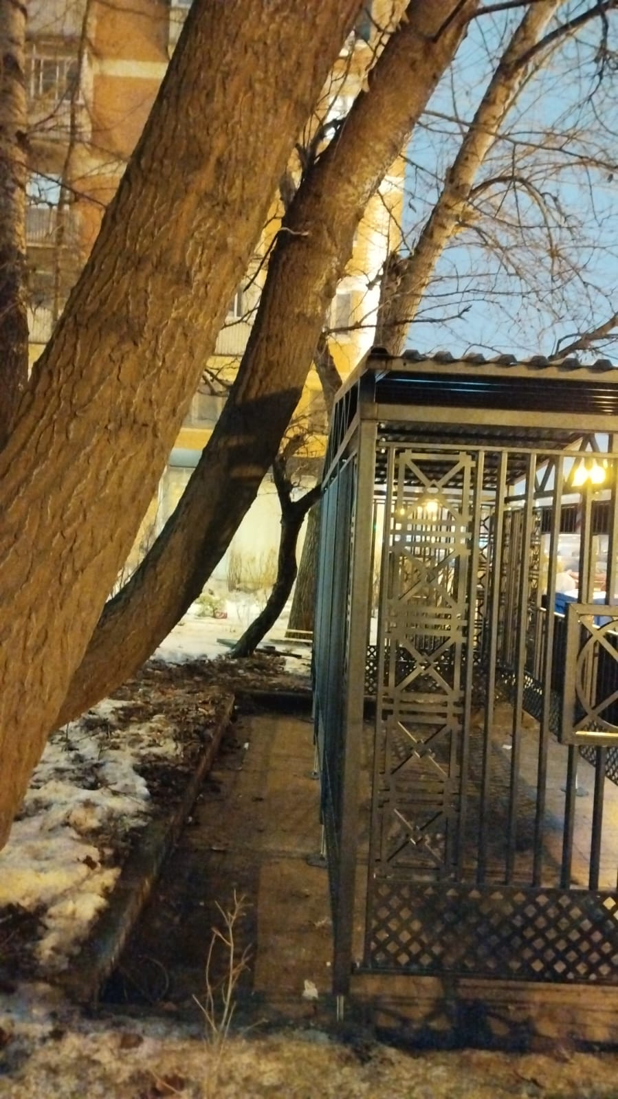 WhatsApp-Image-2024-12-24-at-18.14